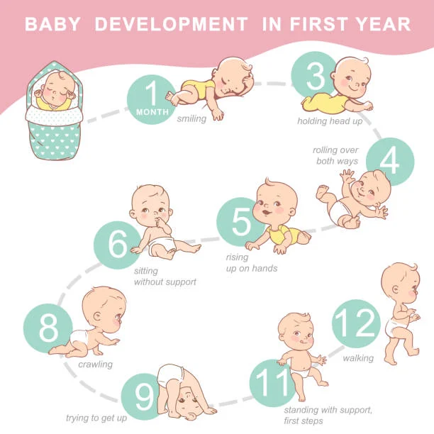 Baby udvikling første trimester