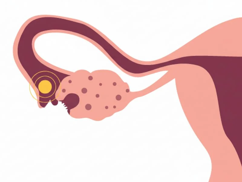 Fertilitetsredskaber til ægløsningssporing